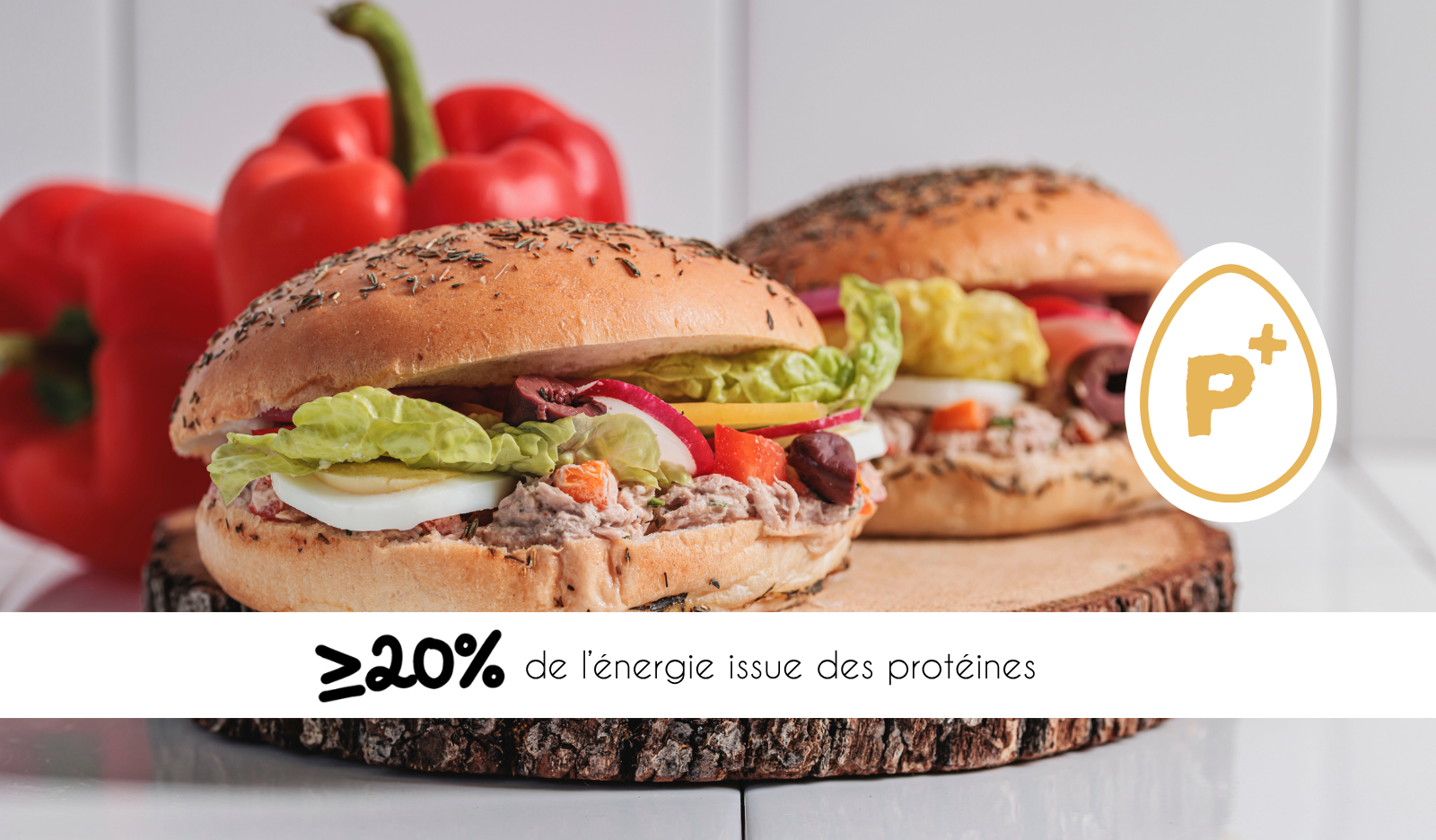 Pan bagnat (4)