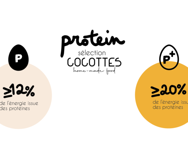 P et P+ : des repères simples pour mieux choisir chez Cocottes