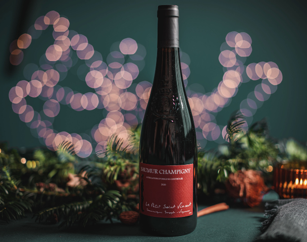 Saumur Champigny 2020 Le Petit St Vincent